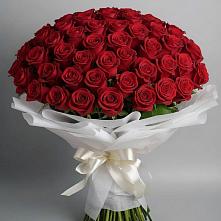 Букет 101 Красная роза Блэк Мэджик в Садовом Республики Калмыкия