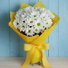 Букет цветов из:  Хризантемы в Садовом Республики Калмыкия