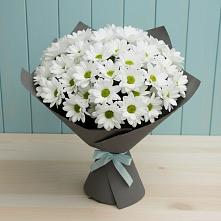 Букет цветов из:  Хризантемы #REPLACE_PRED# Садовом Республики Калмыкия