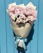 Букет цветов из:  Хризантемы в Садовом Республики Калмыкия