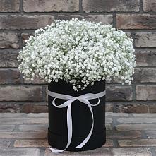 Цветочная композиция из Гипсофила в шляпной коробке #REPLACE_PRED# Садовом Республики Калмыкия