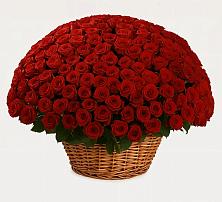 Премиум букет из: Розы #REPLACE_PRED# Садовом Республики Калмыкия