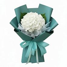 Букет цветов из:  Гортензия в Садовом Республики Калмыкия